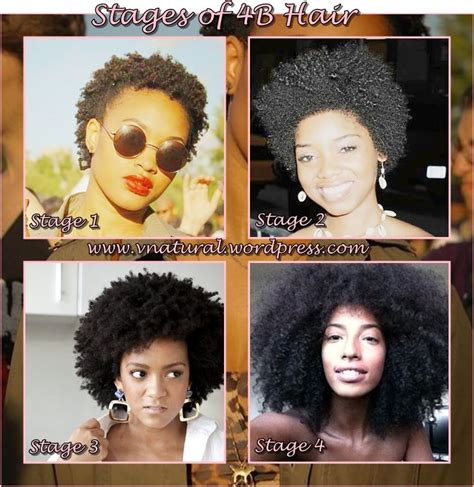 Pin by Mireille Nyctophilia on Stages of Natural Hair | 4b hair ...