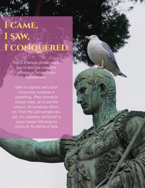 I came, I saw, I conquered. – Julius Caesar | Quote Template