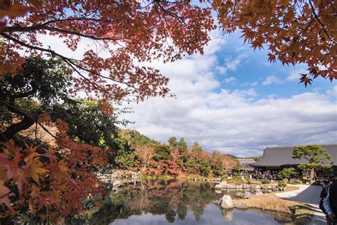 An Arashiyama Autumn Warning—and a Ringing Endorsement