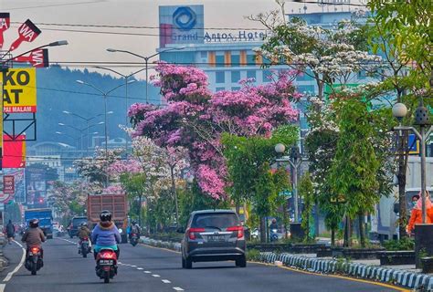 Simak!! Enam Fakta Menarik Seputar Kota Magelang