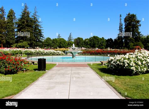 San Jose Municipal Rose Garden In San Jose, California Stock Photo ...