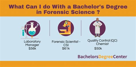 What Can I Do with a Crime Scene Investigation Degree? - Bachelors ...