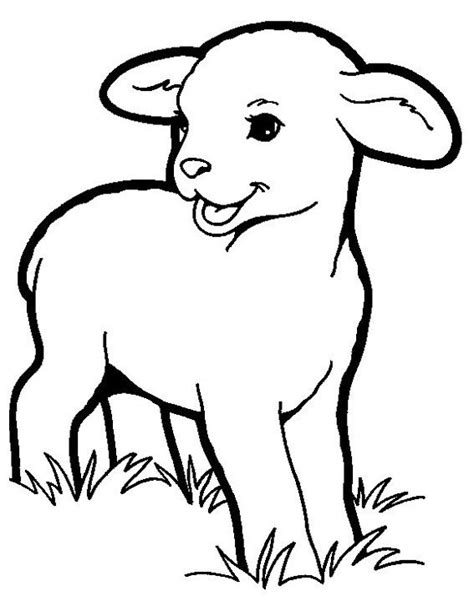 Lamb Coloring Pictures | Animal Coloring Pages