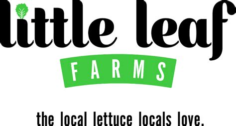 News - Little Leaf Farms