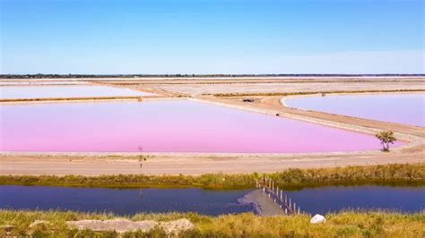 Pink Salt Lakes in Camargue, an Off the Beaten Path Destination in France | SWTliving