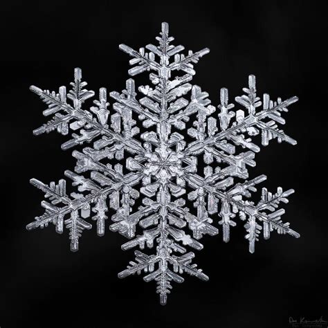 UFUNK.net | Snowflake photography, Snowflakes, Snowflake pictures