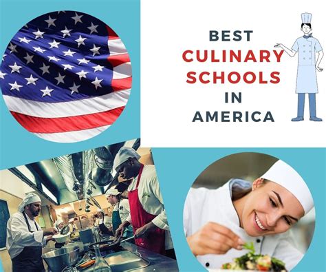 Best 11 Culinary Schools in Florida - Chef's Pencil