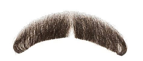 Moustache PNG Images Transparent Free Download | PNGMart.com