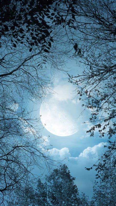 iPhone Night Sky Moon - Bing images | Moon time, Fall wallpaper, Scenery