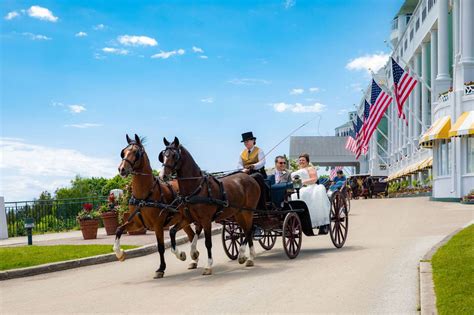 Meet the horses of Mackinac Island's Grand Hotel - mlive.com