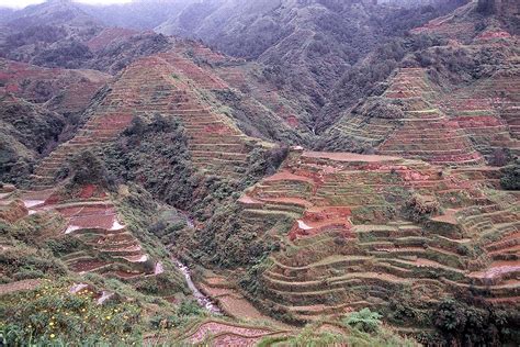 Gods of Rice: Banaue Terraces Are Out of This World - Travelogues from ...