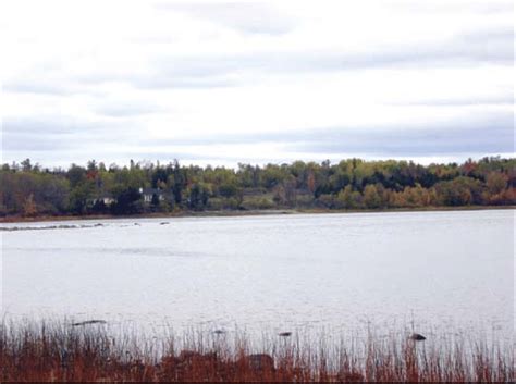 Photograph of the Allumette Island site location as seen from the end... | Download Scientific ...