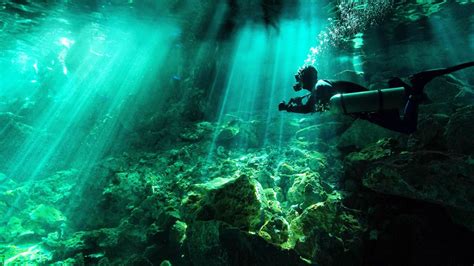 Cenote Diving Tulum Mexico • 2021 • Best Cenotes Guide