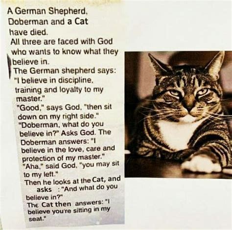 Who Is God | Funny cats and dogs, Cat parenting, Cats