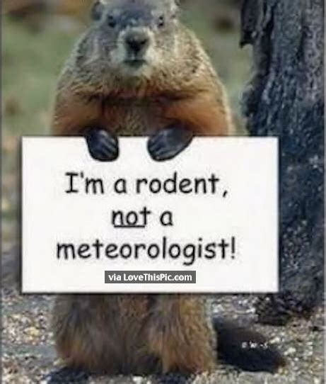 Funny Groundhog Day Memes You Can Laugh at No Matter the Forecast