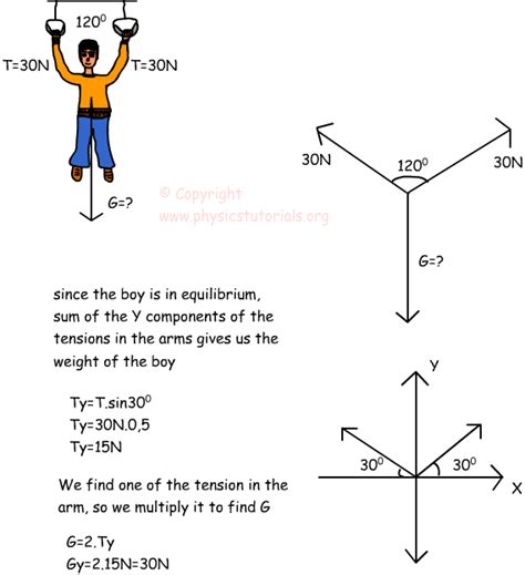 Dynamics Equilibrium with Examples