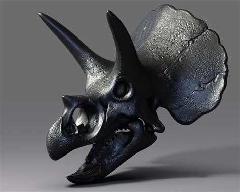 Free STL file Triceratops Skull 🦖 (OBJ)・3D printer model to download・Cults