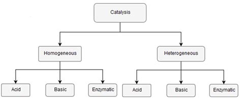 Different types of catalysis employed in the transesterification ...