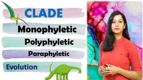 Phylogenetic tree I Clade I Monophyletic I Paraphyletic I Polyphyletic ...