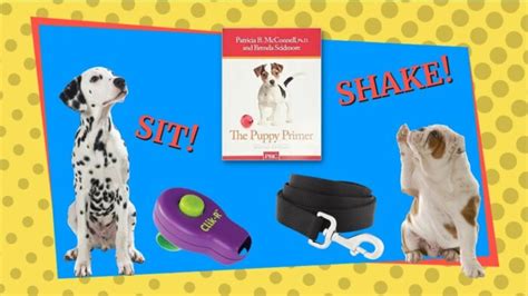 Best Training Tools for Dogs & Puppies | Dog Training Books, Clickers ...