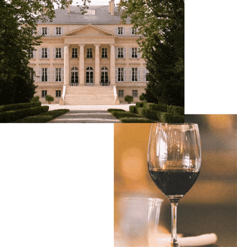 Tailor-made wine tours in the Medoc - Pascal, Wine and Co