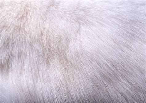 White fur texture background image