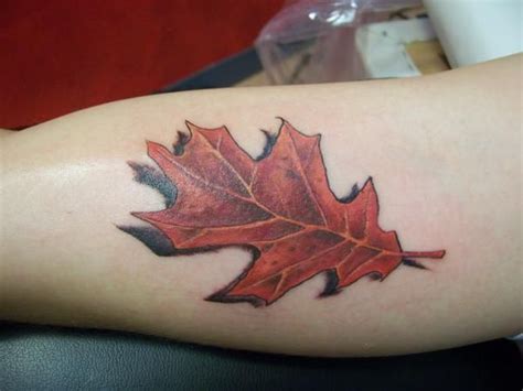 50 best Oak Leaf Tattoo images on Pinterest | Oak leaf cluster, Oak ...