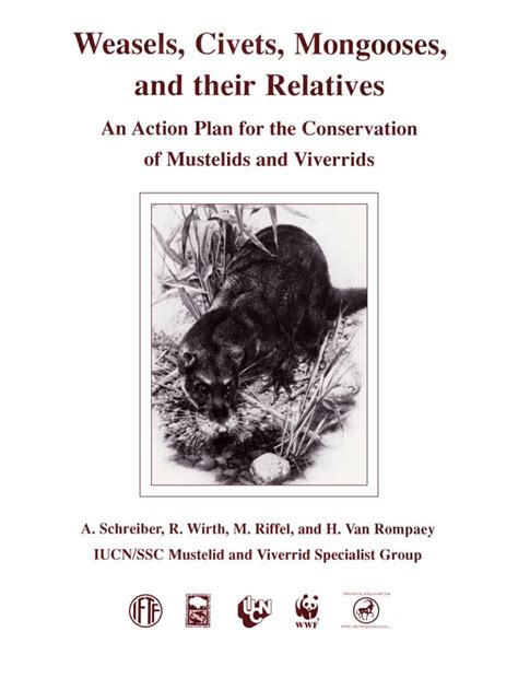 (PDF) Weasels, Civets, Mongooses, and their Relatives An Action Plan for the Conservation of ...