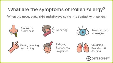 Arriba 59+ imagen allergie pollen symptome - Thcshoanghoatham-badinh.edu.vn