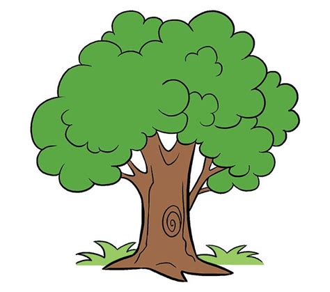 How to Draw a Cartoon Tree: Step by Step