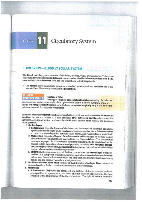 (PDF) جامعة نزوى€¦ · BRS Cell Biology and Histology three interlocking cusps (tricuspid valve ...