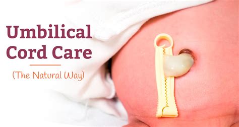 Umbilical Cord in Newborns: How to Care for It Naturally | Baby care essentials, Baby care kit ...