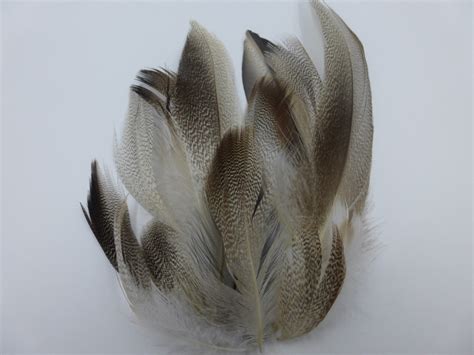 Mallard Flank Feathers Natural Mix - www.amfishingtackle.com - www.amfishingtackle.nl - www ...