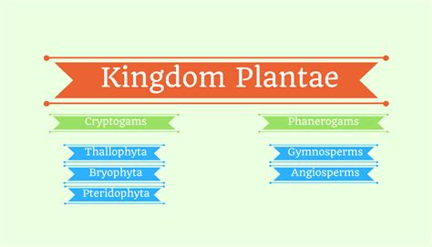 5 Examples Of Kingdom Plantae - Riset