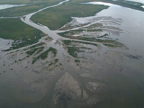 Birds Foot, Peace Athabasca Delta | © Wood Buffalo National … | Flickr