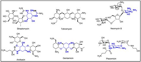 Pharmacy | Free Full-Text | Aminoglycoside Allergic Reactions