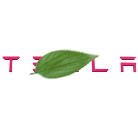 Portón trasero con letras logo Para Tesla Model 3/Y | Tesery Official Store