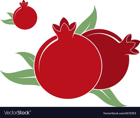 Pomegranate Royalty Free Vector Image - VectorStock