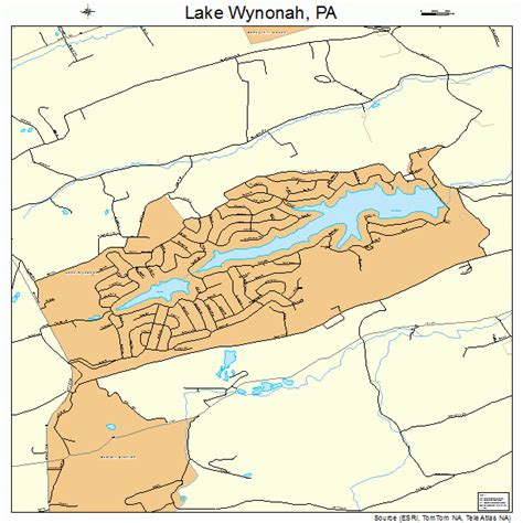 Lake Wynonah Pennsylvania Street Map 4241099