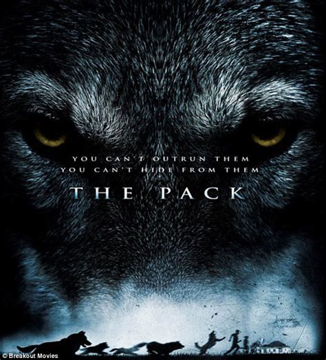 Australian horror movie The Pack based on real-life wild dog attacks in ...