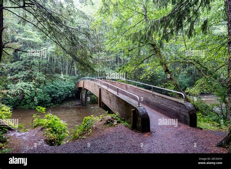 Sitka National Historical Park in Sitka, Alaska Stock Photo - Alamy