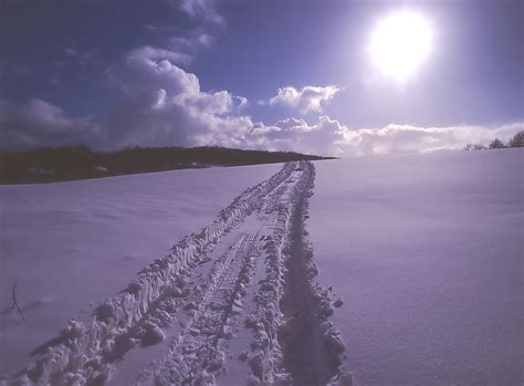 Tractor tracks in snow Free Photo Download | FreeImages