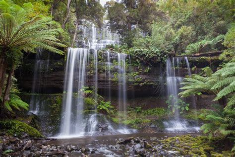 Mount Field National Park | Discovery Down Under