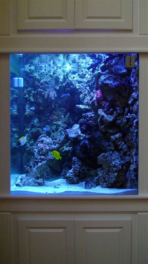 Most Beautiful Saltwater Fish Tanks ( All Time ) | RateMyFishTank.com