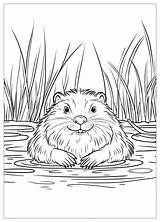 Beaver Coloring Pages  Fun & Free Printable Designs CrayonAZCom sketch template