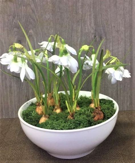 Snowdrops Silk Faux Artificial Highly Realistic Double | Etsy UK ...