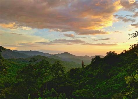 Colombia, a biodiversity hotspot, holds lessons for other countries ...