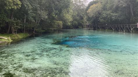 Gilchrist Blue Springs State Park - Florida Lives