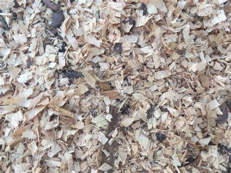 Close up of wood chips texture | Free Textures