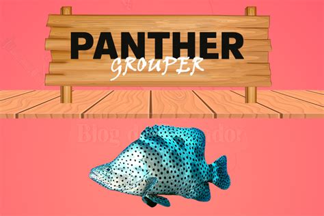 Panther Grouper peixe: Características, habitat, alimentação e onde ...